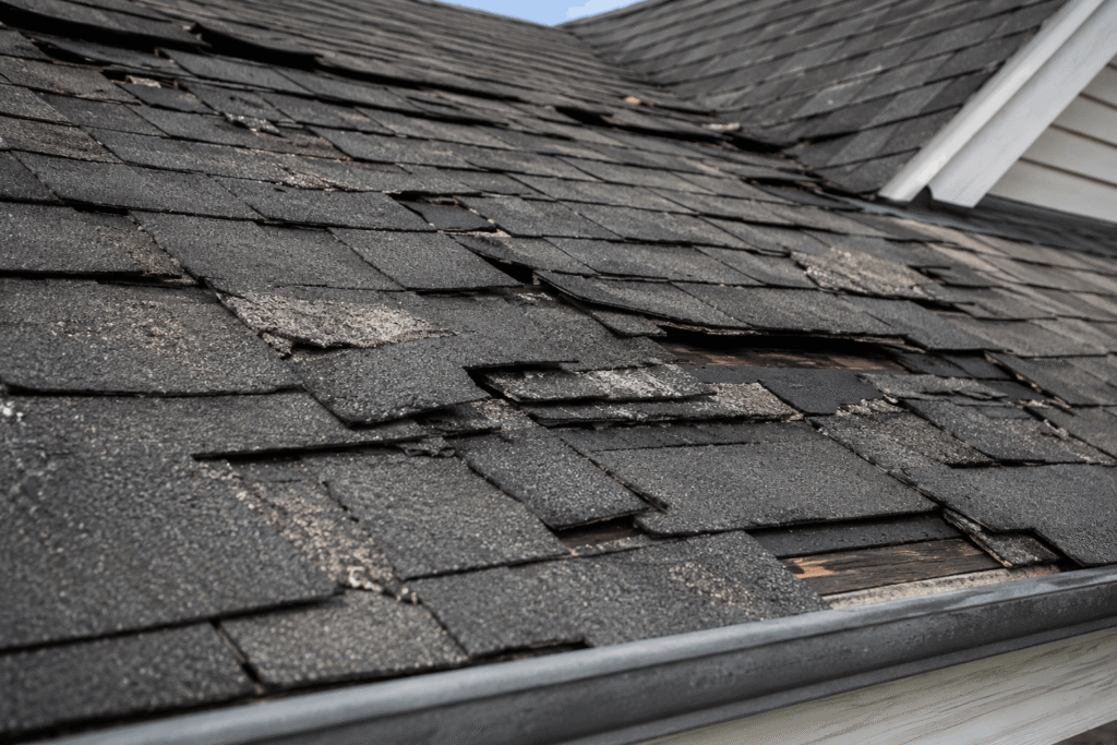Signs You Need a Roof Replacement: 5 Warning Signs Every Homeowner Should Know